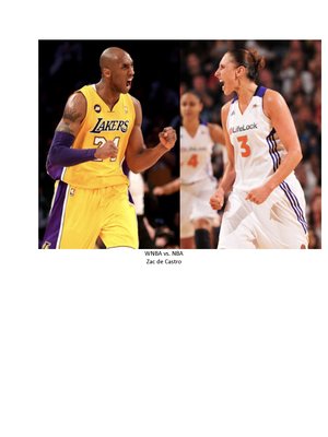 cover image of WINBA vs. NBA
